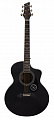 NG Start-E BK электроакустическая гитара, цвет черный