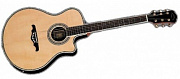 J&D ARB-S электроакустическая гитара