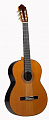 Francisco Esteve 9C/ B SP  классическая гитара 4/4, цвет натуральный