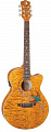 Luna FAU Swift электроакустическая фолк-гитара, цвет натуральный, рисунок "стриж"