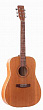 Norman B18(6)  Cedar 21000 Акустическая гитара.  Dreadnought