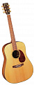 Martin SWDGT акустическая гитара Dreadnought с кейсом