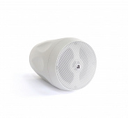 AuraSonics Floret-4T-WH  акустическая система, настенная/подвесная, IP66, цвет белый