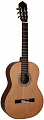 Dowina CL 555 акустическая гитара