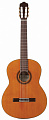 Cordoba Iberia C7 Cedar классическая гитара, топ канадский кедр, с чехлом