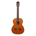 Omni CG-900S  классическая гитара, с чехлом, цвет натуральный