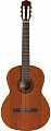 Cordoba Iberia Cadete классическая гитара, размер 3/4,  цвет натуральный