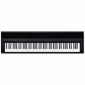 Rockdale Nocturne  компактное цифровое пианино, 88 клавиш