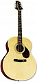 Greg Benett GJ100S/N акустическая гитара
