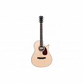 Larrivee C-03-RW-TE  акустическая гитара с футляром