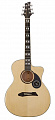 NG DAWN-E N1 NA электроакустическая гитара, цвет натуральный