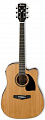 Ibanez PF17ECE-LG Dreadnought электроакустическая гитара