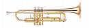 Yamaha YTR-4335G II  труба Bb студенческая, средняя, gold brass bell, лак - золото