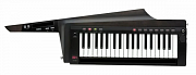 Korg RK100S-2 BK программируемый аналоговый синтезатор-клавитара, цвет черный
