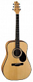 Greg Bennett D9 акустическая гитара, цвет натуральный