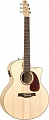 Seagull Natural Elements HOF Cherry CW MJ + Case  электроакустическая гитара Jumbo с кейсом, цвет: натуральный