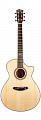 Breedlove Legacy Concerto CE  электроакустическая гитара с кейсом, цвет натуральный