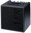 AER Alpha  комбоусилитель для акустических гитар, 40 Вт