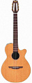 Takamine EAN60C электроакустическая гитара