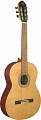 Manuel RodriguezC3 Palorojo классическая гитара, цвет натуральный глянцевый