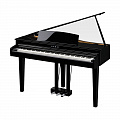 Kawai DG30 цифровое пианино, механика RH III 355 тембров, 2х20 Вт, 256 полифония, цвет черный поли
