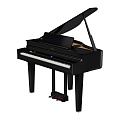 Roland GP 6 PE  цифровой рояль, 88 клавиш, цвет черный