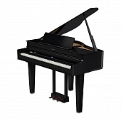 Roland GP 6 PE  цифровой рояль, 88 клавиш, цвет черный