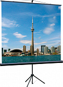 Lumien LEV-100102 экран на штативе Eco View 180 x 180 см