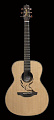 Takamine LTD2005 LIMITED EDITION AC / EL GUITAR W / CASE электроакустическая гитара с кейсом, цвет натуральный