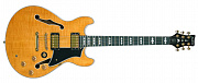 Framus Mayfield  1616831084GPFMTFTL  HP Gold Custom Nat Эл.гитара