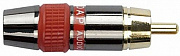 DAP Audio RCA connector male, Black housing Red endcap разъем RCA "папа", красный