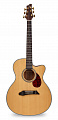 NG GM411SCE NA электроакустическая гитара, цвет натуральный, чехол в комплекте