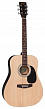 Encore EW100N  акустическая гитара, Dreadnought, цвет натуральный