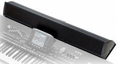 Korg PaAS трёхполосная акустическая система для аранжировщика Pa3X